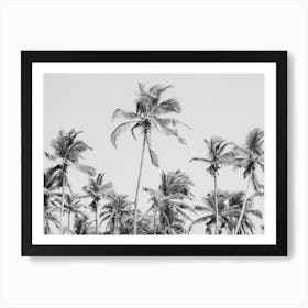 Black And White Palm Trees Art Print