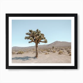 Warm Desert Scenery Art Print