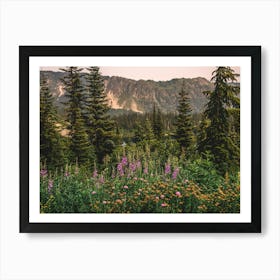 Wildflowers In The Mountains Art Print