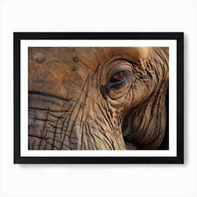 African Elephant Close Up Realism 4 Art Print