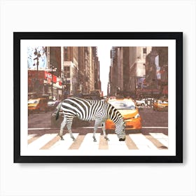 Zebra New York City Art Print
