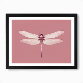 Dragonfly Roseate Skimmer Orthemis 3 Art Print
