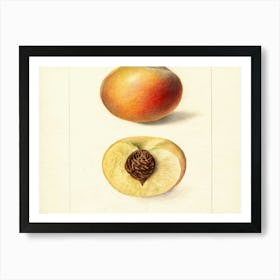 Peaches 1 Art Print