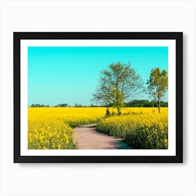 Canola Fields Under The Sun 05 Art Print