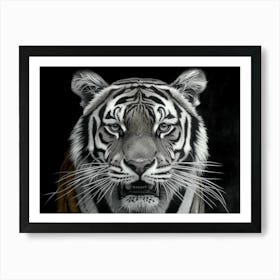 Tiger Art Print