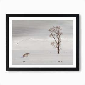 Traveling Coyote Art Print