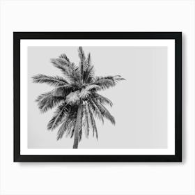 Botanical Black And White Palm Tree On A Tropical Beach Art Print