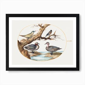 Green Winged Teal, Juvenile Green Woodpecker And Two Other Birds (1575 1580), Joris Hoefnagel Art Print