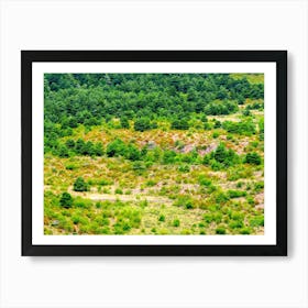 Aerial View Of A Forest 20230816110689pub Art Print