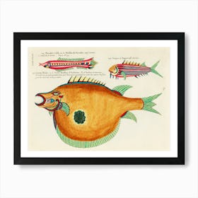 Colourful And Surreal Illustrations Of Fishes Found In Moluccas (Indonesia) And The East Indies, Louis Renard(80) Art Print