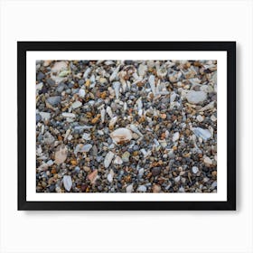 Tiny And Large Sea Shell And Rocks Texture Background 8 Art Print