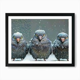 Angry birds In Snow Art Print