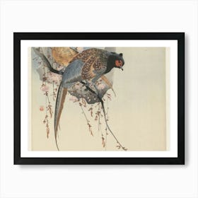 Pheasants In Blossom Art Print