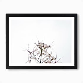 White Flowers Art Print