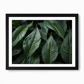 Close Up Of Green Leaves Art Print