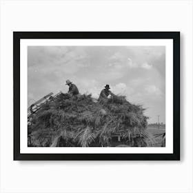 Untitled Photo, Possibly Related To Handling Soybean Hay From Loader Onto Wagon, Lake Dick Project, Arkansas Art Print