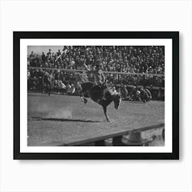 Untitled Photo, Possibly Related To Fancy Riding Demonstration At The Rodeo Of The San Angelo Fat Stock Show 2 Art Print
