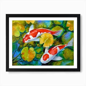 Koi fish in the pond 1 Art Print