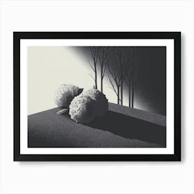 Shadows Of Flowers Art Print