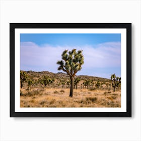 Joshua Tree Art Print