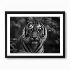 Tigris Art Print