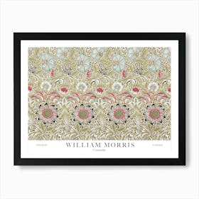 William Morris Prints Corncockle Original Landscapes Landscape Botanical Vintage Art Print