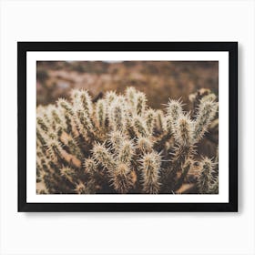 Prickly Cactus Art Print