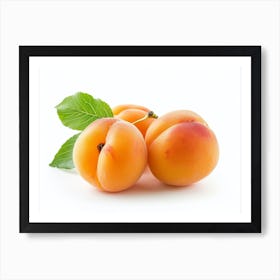 Apricots 13 Art Print