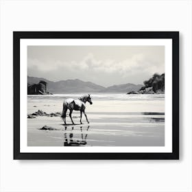A Horse Oil Painting In Lopes Mendes Beach, Brazil, Landscape 1 Art Print