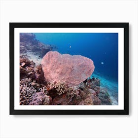 Heart Shape Coral Art Print