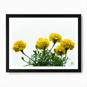 Yellow Carnations 20210703 308ppub Poster