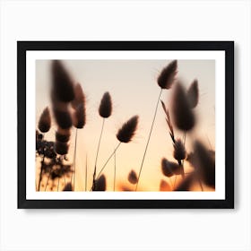 Sunset Skies And Dancing Grasses Art Print