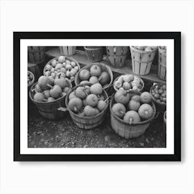 Pumpkins And Turnips Near Berlin, Connecticut By Russell Lee Art Print