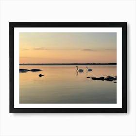 Swans On The Lake Art Print