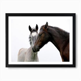 Couple of Horses Art Print