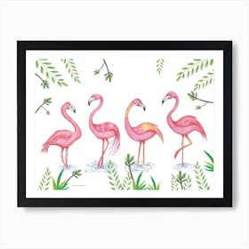 Flamingos Art Print