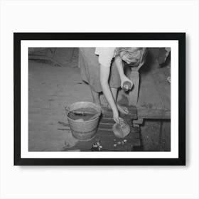 Daughter Of Tenant Farmer Living Near Muskogee, Oklahoma, Changing Water In Goldfish Bowl, Refer To General Art Print