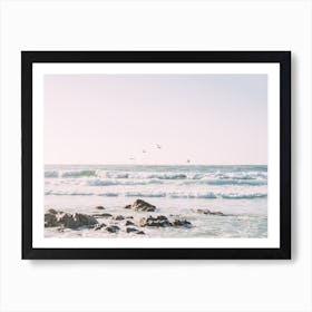 California Coast Sunset Pelicans Art Print