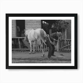 Mormon Farmer Shoeing A Horse, Santa Clara, Utah By Russell Lee Art Print