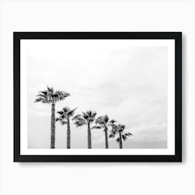 Black And White Palm Trees In A Row On The Beach Art Print