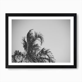 The Palms Art Print