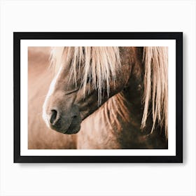 Rustic Beige Horse Art Print