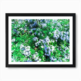 Natural fresh flowers and green plants 4 Art Print