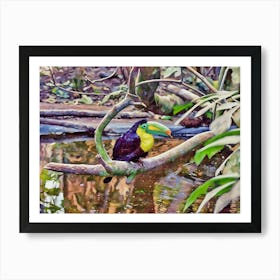 Vibrant Toucan in the Rainforest. A colorful toucan rests gracefully on a branch amidst a lush rainforest setting. Its vivid yellow chest and bright green beak contrast beautifully with the soft reflections in the water below, capturing the vibrant essence of tropical wildlife. Art Print