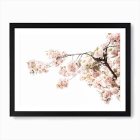 Spring Blossom IV Art Print
