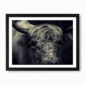 Highland Cow Art Print