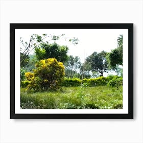 Garden 8 By Binod Dawadi Art Print