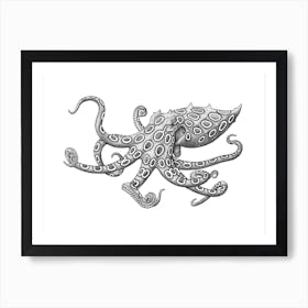 Blue Ringed Octopus Art Print