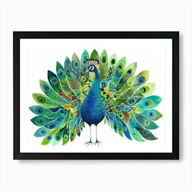 Peacock 17 Art Print