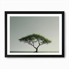 Lone Tree 2 Art Print